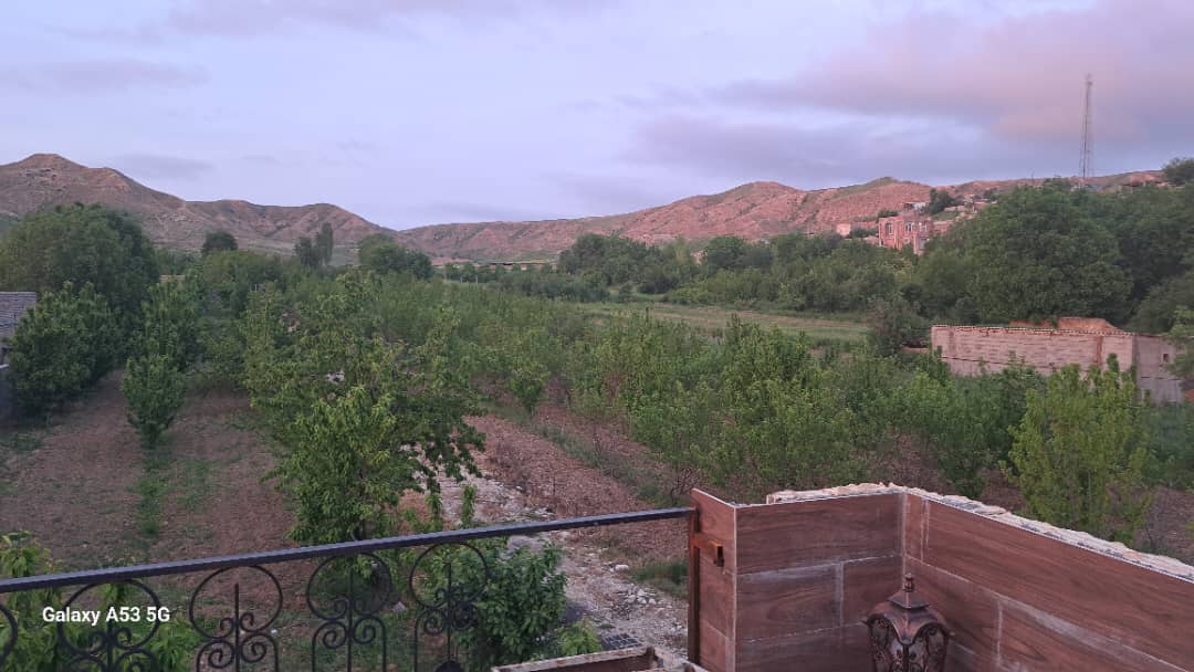 گالری تصاویر